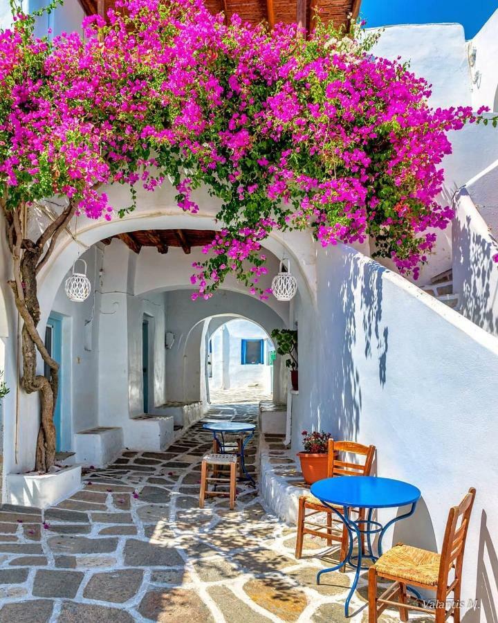 Villa Kavalli Paros Dhragoulas Екстериор снимка